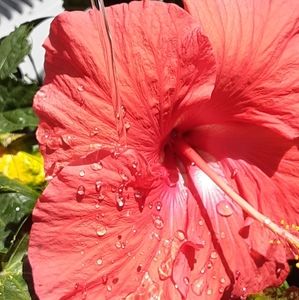 Meet your Posher, Jacklynn